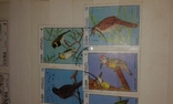 Почтовые марки Кубы. Птицы, рыбки., фото №8