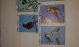 Почтовые марки Кубы. Птицы, рыбки., фото №9