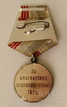 Ветеран труда СССР, фото №5