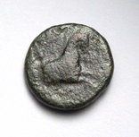 Іонія, м.Колофон, бронзовий халк 360-330 до н.е. – Аполлон / протома коня, фото №6