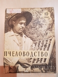 Пчеловодство 1961 год № 10, фото №2