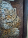 Картина Леопарды 98*38 см, фото №5