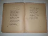 Ива: Пятая книга стихов. Сергей Городецкий. 1913 год, фото №6