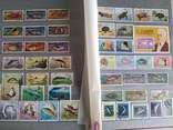 Альбом с марками животные рыбы птицы, фото №8