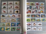 Альбом с марками животные рыбы птицы, фото №9