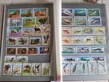 Альбом с марками животные рыбы птицы, фото №10