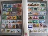 Альбом с марками животные рыбы птицы, фото №11