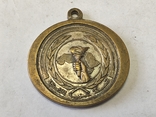 Медаль Египет., фото №2