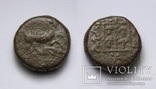 Фракія, м.Маронея, 398-346 до н.е., фото №2