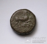 Фракія, м.Маронея, 398-346 до н.е., фото №5