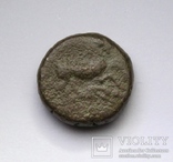 Фракія, м.Маронея, 398-346 до н.е., фото №6