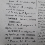 1882 г. Словарь к Новому Завету, фото №9