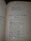 1881 Старицький - Пiснi i думи в 2 частинах, фото №9