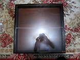 Коробка за ювелирных украшения дерево стекло 60 x 60 cm, фото №4