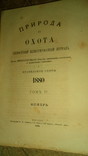 Природа и охота 1880год Правила охоты TOMЪ VI, фото №2