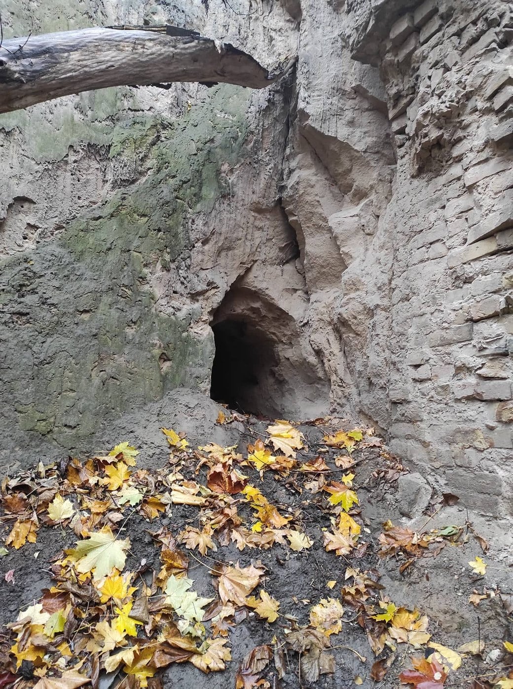 Вхід в печери в центрі Києва. Фото: Дмитро Перов