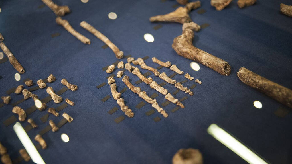 Рештки Homo Naledi, чия кістка великого пальця була відправлена ​​на край космосу 8 вересня 2023 року на кораблі Virgin Galactic.