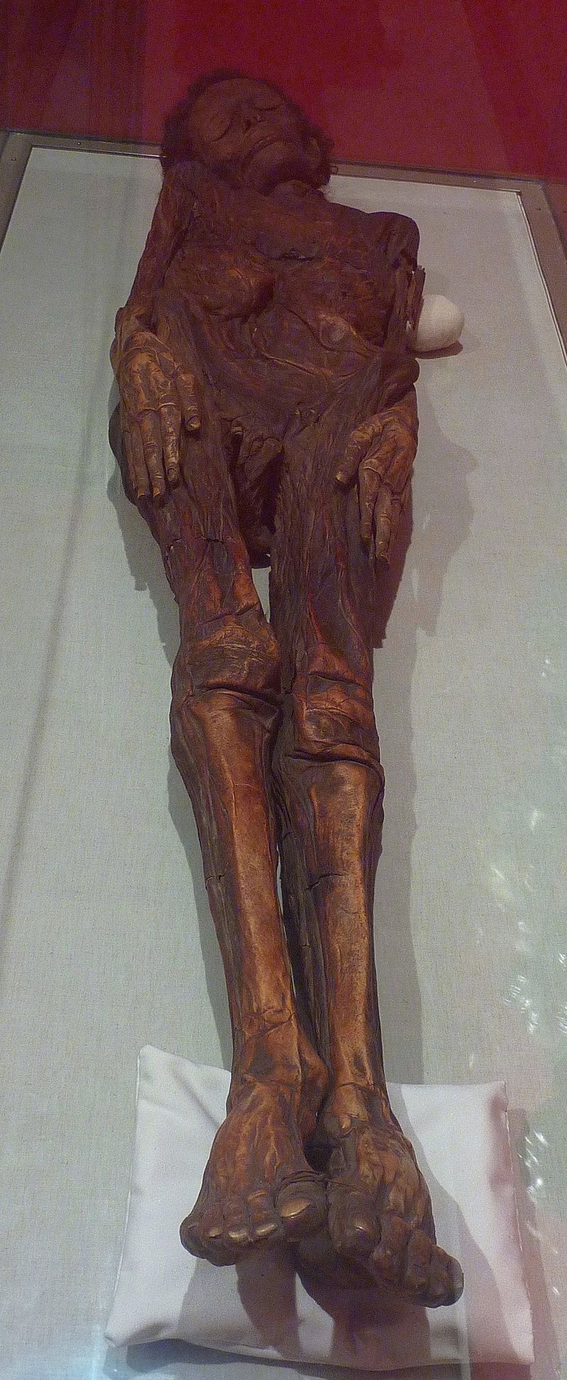 Mummy of an ancient inhabitant of the Canary Islands