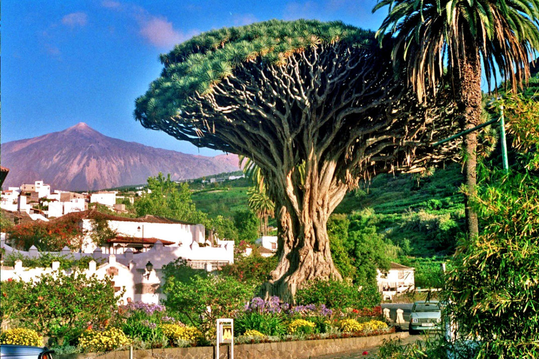 Tenerife island