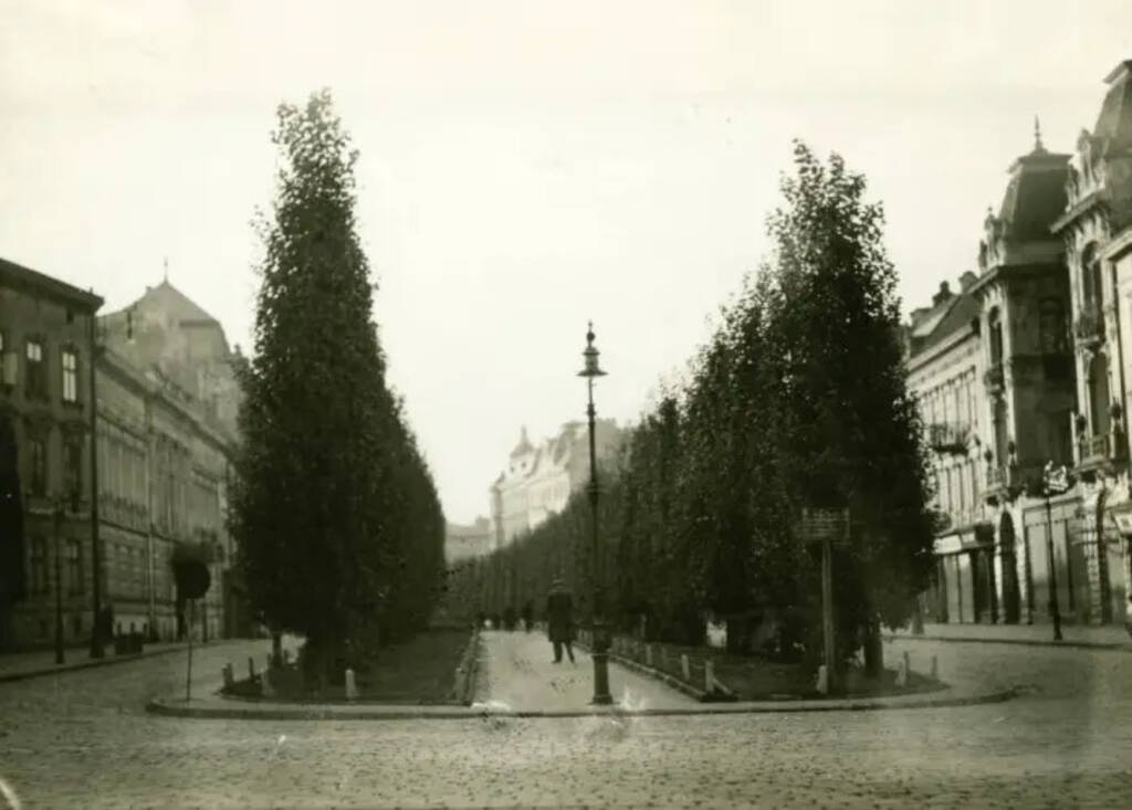 On the streets of Lviv, 1934