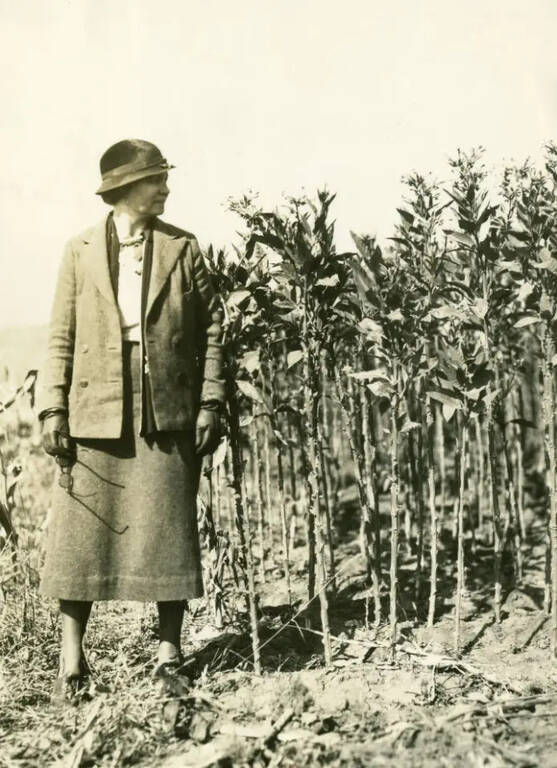Louise Arner Boyd, in the field, somewhere in Galicia, 1934