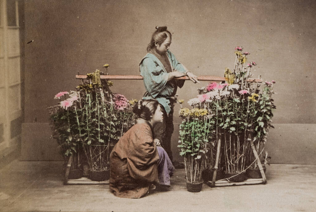Продавець хризантем, Японія, 1890 р., альбуміновий друк розфарбований вручну