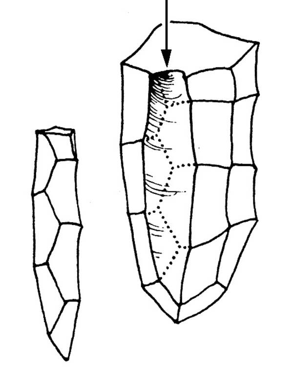 Нуклеус і відколота від нього пластина (зліва), яка вже має досить гострі бічні крайки та може використовуватись як інструмент