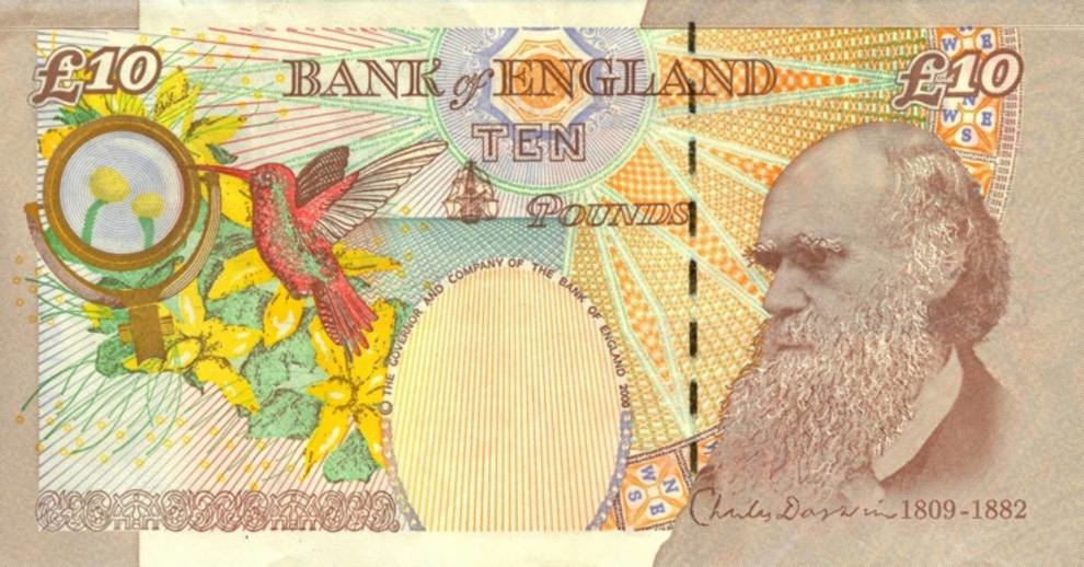 Banknote blunders: incidents and mistakes on paper money