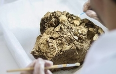 Лучезарная улыбка и сильные ноги: в Бразилии нашли 6000-летний скелет человека