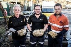 Австралийские шахтеры нашли золотые самородки общим весом более 250 килограмм
