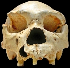 Found jaw belonged to ancient man