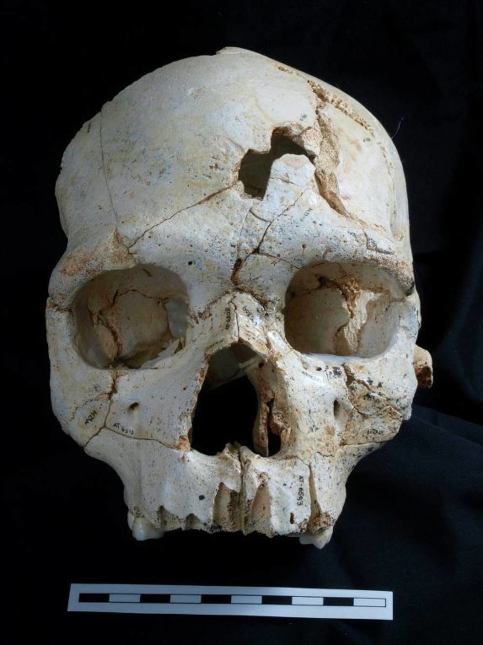 Chinese archaeologists excavated a hole with skulls of prisoners who were sacrificed