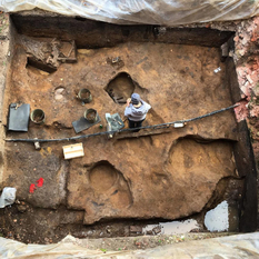 На территории археологической памятки нашли череп мамонта с кладом внутри