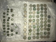 На території київського заповідника знайшли 2 кг срібних монет