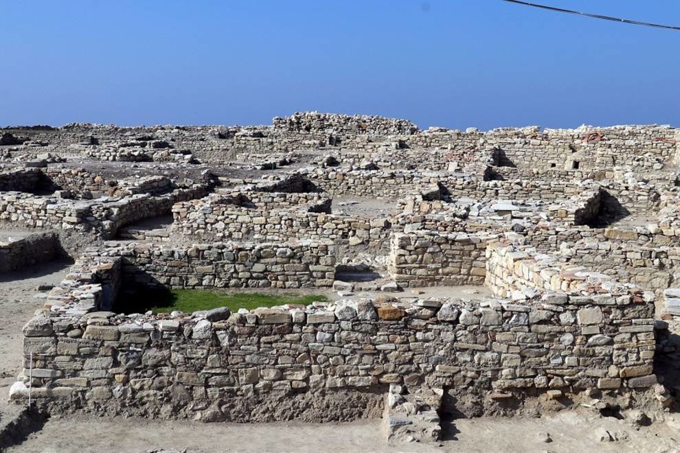 800-летние следы кошек и собак были найдены на западе Турции