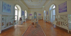 Музей сгорел, но экскурсии проводятся: как Google помогает музейщикам?