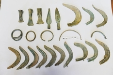 Пес-археолог і скарб бронзового століття