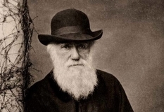 Darwin's theory of evolution: heresy or a treatise on biology