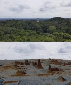Лидар помог обнаружить в джунглях более 60 000 строений древних майя