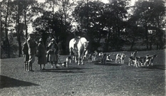 Castle in Pomoryan: video from the hunt of the 1920s