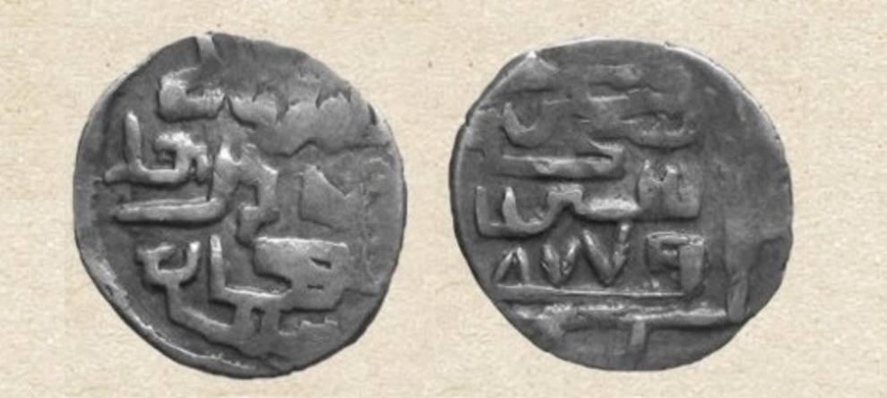 That helped, so it helped: a treasure of medieval silver coins found a gopher