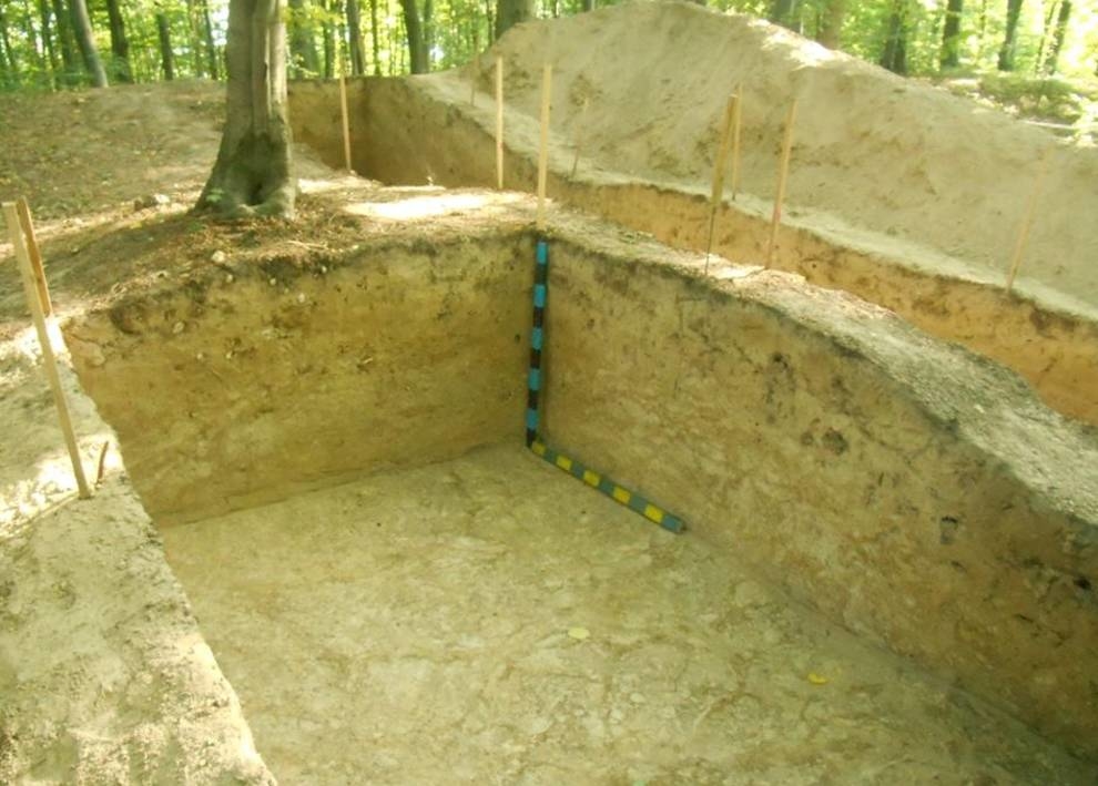 Археологи поделились результатами раскопок в заповеднике «Древний Плиснеск»
