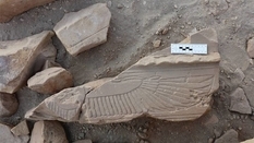 The body of a lion and the head of a ram: cryospinx was excavated in Egypt