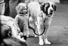 Stiff competition and true friendship: photos from dog shows of the 1960s and 70s