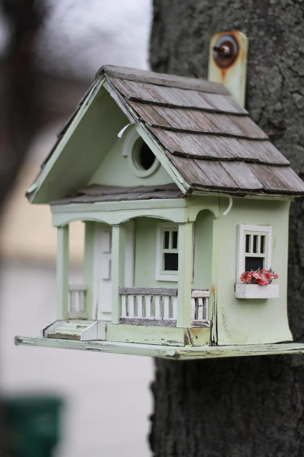 Unparalleled homes for well-to-do birds