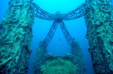 Neptune Memorial Reef: перше підводне кладовище і найбільший штучний риф