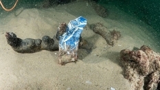 «Находка десятилетия»: торговое судно, затонувшее 400 лет назад и обнаруженное у побережья Португалии