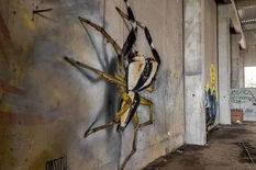 Giant bees, flies and spiders on the walls of abandoned buildings