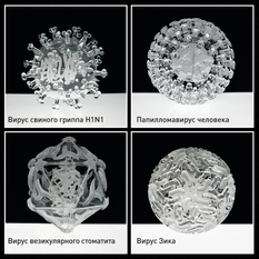 Intestinal sticks, smallpox viruses and malaria: Luke Jerram’s “dangerous” collection