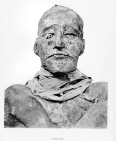Rare photos of mummies from the British Egyptologist's catalog